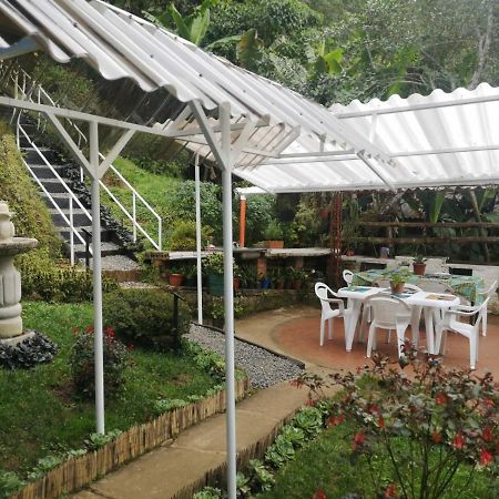 Bosque De Niebla Birding & Nature Cali Exterior photo