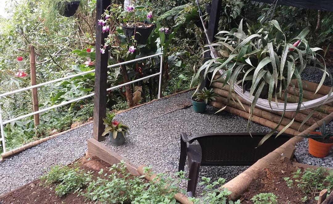 Bosque De Niebla Birding & Nature Cali Exterior photo