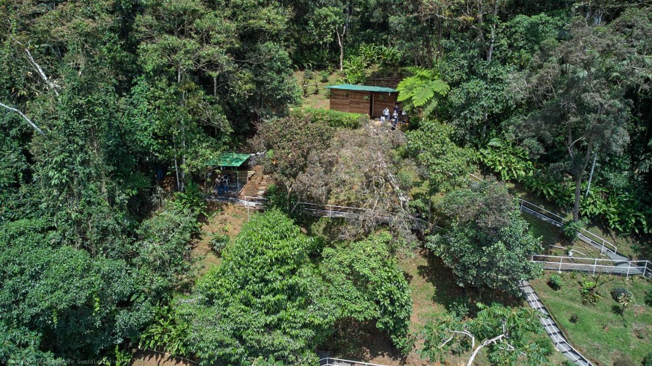 Bosque De Niebla Birding & Nature Cali Exterior photo
